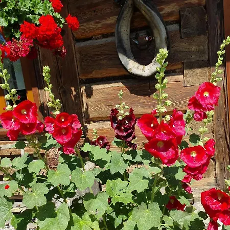 Villa Przytulia Stryszawa