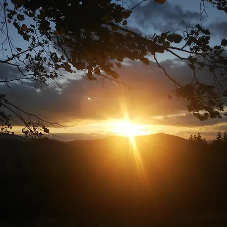 Przytulia * Stryszawa