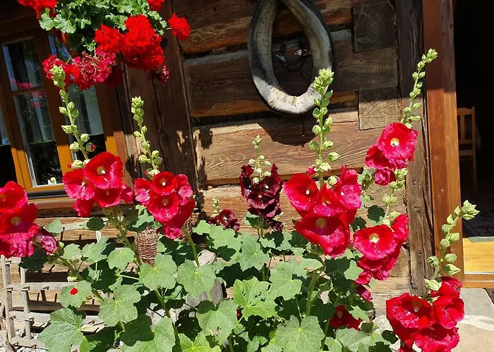 Villa Przytulia Stryszawa